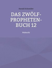 bokomslag Das Zwlf-Propheten-Buch 12
