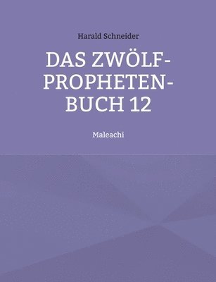 Harald Schneider - Zwölf-Propheten-Buch 12, Häftad