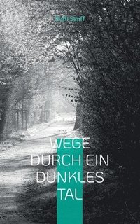 bokomslag Wege durch ein dunkles Tal