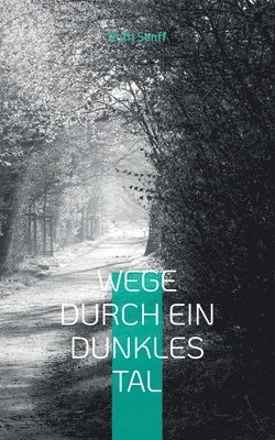 Wege durch ein dunkles Tal 1