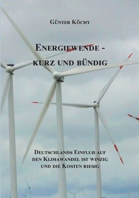 bokomslag Energiewende - Kurz und Bündig
