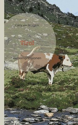 Carry Van Bruggen, Matthias Adler-Drews - Tirol, Häftad