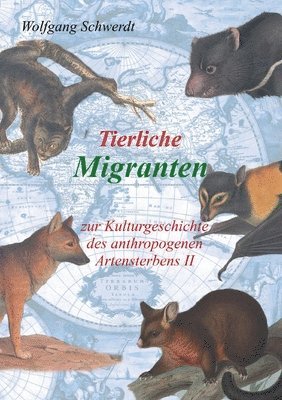 bokomslag Tierliche Migranten