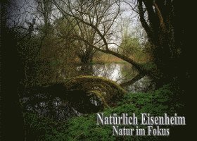 bokomslag Natürlich Eisenheim