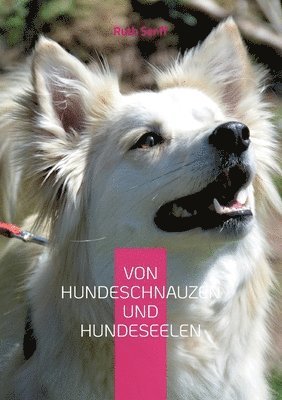 Von Hundeschnauzen und Hundeseelen 1