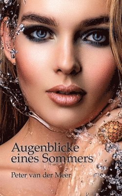 Peter Van Der Meer - Augenblicke eines Sommers, Häftad