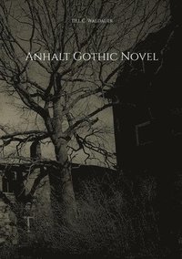 bokomslag Anhalt Gothic Novel