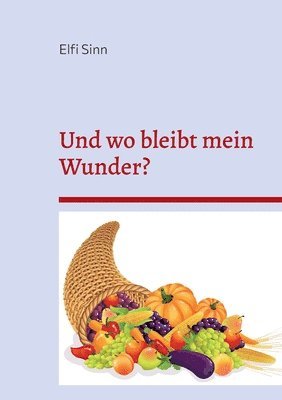 bokomslag Und wo bleibt mein Wunder?