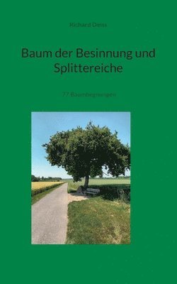 bokomslag Baum der Besinnung und Splittereiche