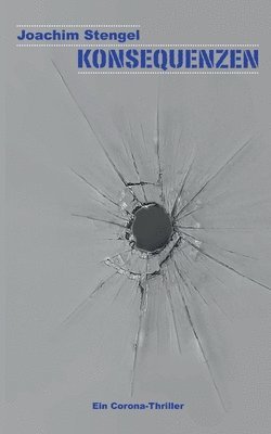 Joachim Stengel - Konsequenzen, Häftad
