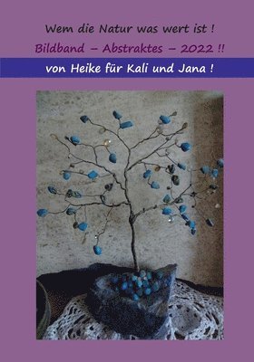 Heike Thieme - Wem die Natur was wert ist, ...Kompromiss !, Häftad