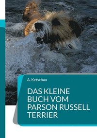bokomslag Das kleine Buch vom Parson Russell Terrier