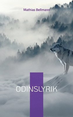 bokomslag Odinslyrik