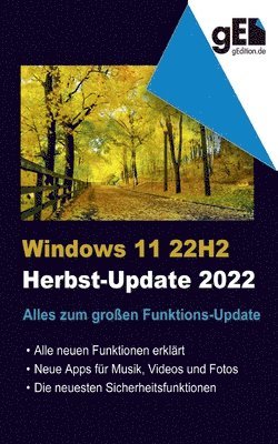 bokomslag Windows 11 - 22H2