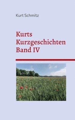 Kurt Schmitz - Kurts Kurzgeschichten Band IV, Häftad
