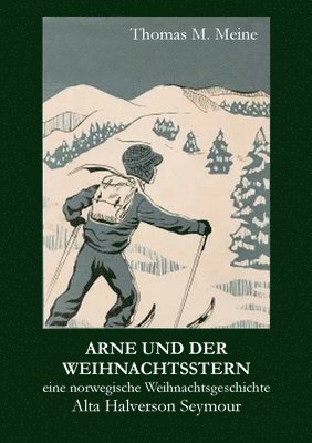 bokomslag Arne und der Weihnachtsstern