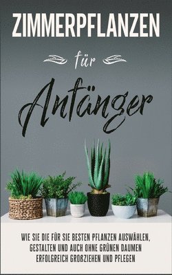 bokomslag Zimmerpflanzen für Anfänger