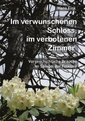 Hans Fink - Im verwunschenen Schloss, im verbotenen Zimmer, Häftad