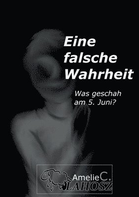 eine falsche Wahrheit 1