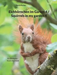 bokomslag Eichhrnchen im Garten 4 / Squirrels in my garden 4