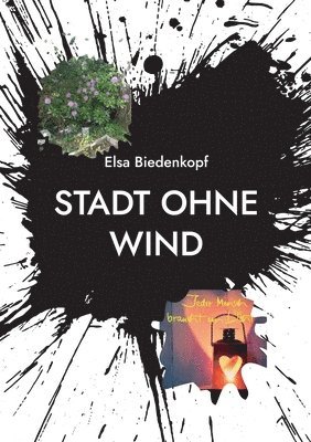 bokomslag Stadt ohne Wind