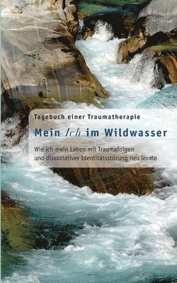 bokomslag Mein Ich im Wildwasser