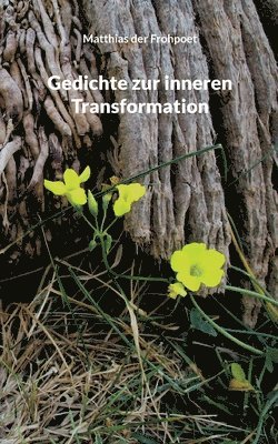 Matthias Der Frohpoet, Matthias der Frohpoet - Gedichte zur inneren Transformation, Häftad
