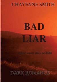 bokomslag Bad Liar