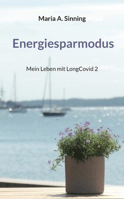 bokomslag Energiesparmodus