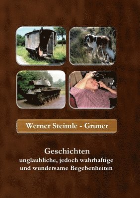 Werner Steimle-Gruner - Geschichten unglaubliche, jedoch wahrhaftige und wundersame Begebenheiten, Häftad
