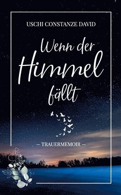 bokomslag Wenn der Himmel fällt