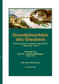 bokomslag Grundeinsichten des Glaubens