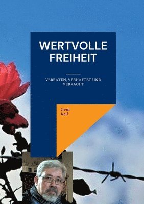 bokomslag Wertvolle Freiheit