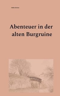 bokomslag Abenteuer in der alten Burgruine