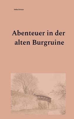 bokomslag Abenteuer in der alten Burgruine