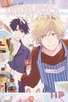 bokomslag Hitorijime my Hero 14