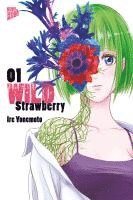 bokomslag Wild Strawberry 01