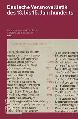 bokomslag Deutsche Versnovellistik des 13. bis 15. Jahrhunderts (DVN)