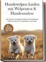 bokomslag Hundewelpen kaufen mit Welpentest & Hundeanalyse: Wie Sie beim Hundekauf fundierte Entscheidungen treffen und den für Sie perfekten Hund finden - inkl. Selbsttest: Welcher Hund passt zu mir?