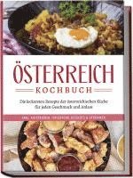 bokomslag Österreich Kochbuch: Die leckersten Rezepte der österreichischen Küche für jeden Geschmack und Anlass | inkl. Aufstrichen, Fingerfood, Desserts & Getränken