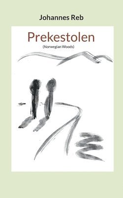 Johannes Reb - Prekestolen, Häftad