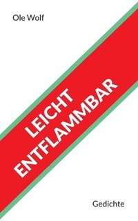 bokomslag Leicht entflammbar