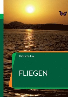 Fliegen 1