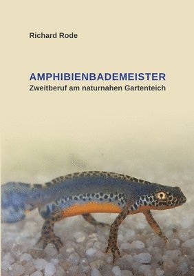 Amphibienbademeister 1