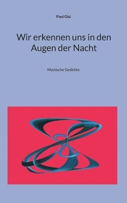 bokomslag Wir erkennen uns in den Augen der Nacht