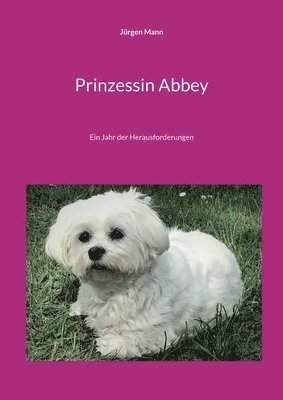 Prinzessin Abbey 1