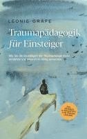 bokomslag Traumapädagogik für Einsteiger: Wie Sie die Grundlagen der Traumapädagogik leicht verstehen und gekonnt im Alltag anwenden - inkl. Übungen & Praxistipps zum Trauma Umgang