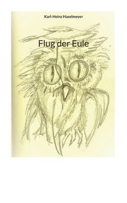 bokomslag Flug der Eule