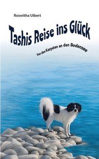 bokomslag Tashis Reise ins Glück