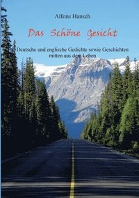 bokomslag Schöne Gesicht